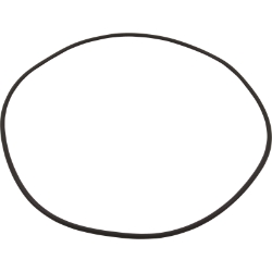 0.312" Tank O-Ring for Sandpiper and Stainless Steel Titan 18" and 24" Tank 0.312" Tank O-Ring for Sandpiper and Stainless Steel Titan 18" and 24" Tank, Parts, Pentair, Pool Supplies