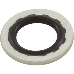 Stat-O-Seal Washer for Sta-Rite® CSPH/CCSPH Series Commercial Pump Stat-O-Seal Washer for Sta-Rite® CSPH/CCSPH Series Commercial Pump, C43-46SS, Parts, Pentair, Pool Supplies, Pump Parts, Pump Repair