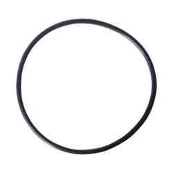 O-Ring 10" Lid O-Ring 10" Lid, Waterco, Pool Supplies