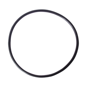 O-Ring 10" Lid O-Ring 10" Lid, Waterco, Pool Supplies