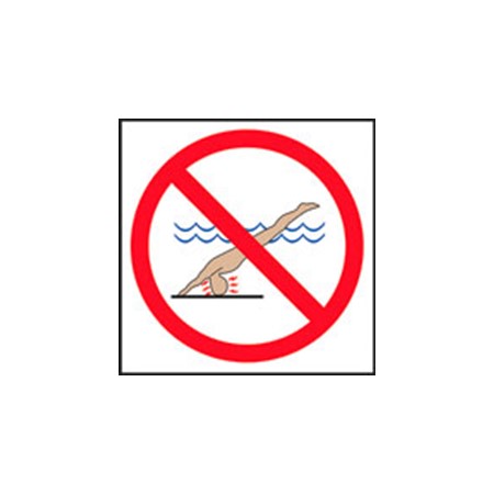 12" x 12" Skid Resistant Ceramic Tile - No Diving -4 Colors Tile, Depth Markers, Safety, Pool Building Materials, Pool Supplies