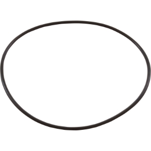 .157" x 5.75" Triton® II Closure O-Ring .157" x 5.75" Triton® II Closure O-Ring, 154493Z, Parts, Pentair, Pool Supplies