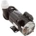 2 HP Gecko Aqua-Flo FMHP Spa Pump 2 Speed 230V - 02120000-1010