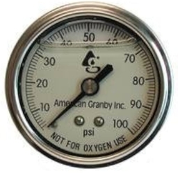 2" Liquid Filled Stainless Steel Pressure Gauge with 1/4" MIP Back Mount 2" Liquid Filled Stainless Steel Pressure Gauge with 1/4" MIP Back Mount