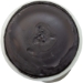 6-11/16" Long Lateral Sand Dollar - 152290Z