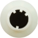 6-11/16" Long Lateral Sand Dollar - 152290Z