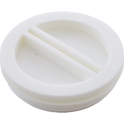 #852 WINTERIZING PLUG LARGE-1 PER SHOT #852 WINTERIZING PLUG LARGE-1 PER SHOT, R22011, Parts, Pentair, Pool Supplies