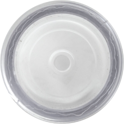 ASY SIGHTGLASS ASY SIGHTGLASS, Parts, Pentair, Pool Supplies