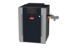 B-R406A-EN-C #50 NG IID 0-2K ASME HEATER Raypak, Heater