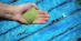 Glass Filtration Media, pallet of 48 x 50 lb bags - FG50-48