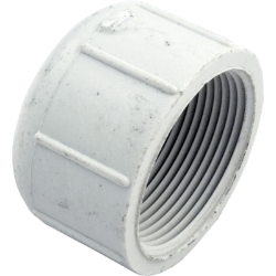 CAP THD 1.5in CAP THD 1.5in, Parts, Pentair, Pool Supplies