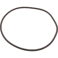 CRD RNG STRNR LID CRD RNG STRNR LID, Parts, Pentair, Pool Supplies