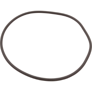 CRD RNG STRNR LID CRD RNG STRNR LID, Parts, Pentair, Pool Supplies