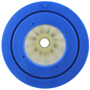 CRTG RPLCMNT QUAD DE 100 0, Parts, Pentair, Pool Supplies