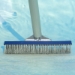 Algae Brushes, stainless steel - 