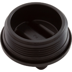 DRN PLG ASY DRN PLG ASY, Parts, Pentair, Pool Supplies