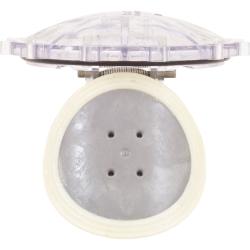 FLAPPER CHK VLV RPLCMNT FLAPPER CHK VLV RPLCMNT, Parts, Pentair, Pool Supplies