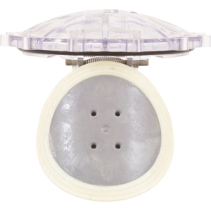 FLAPPER CHK VLV RPLCMNT FLAPPER CHK VLV RPLCMNT, Parts, Pentair, Pool Supplies