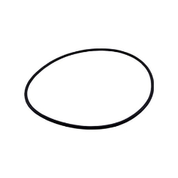 Filter Head o-ring, ReGenX DE filters 