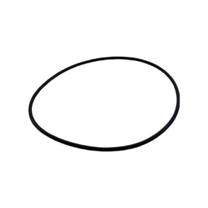 Filter Head o-ring, ReGenX DE filters 