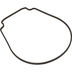 GASKET SEAL PLATE BLCK BUNA 2/1/08-PRESENT GASKET SEAL PLATE BLCK BUNA 2/1/08-PRESENT, Parts, Pentair, Pool Supplies