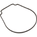 GASKET SEAL PLATE TAN SANTOPRENE PRIOR 2/1/08 - 357102Z