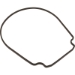 GASKET SEAL PLATE TAN SANTOPRENE PRIOR 2/1/08 - 357102Z