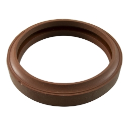 GSKT LENS SUNLT REP 05601-0005 0, Parts, Pentair, Pool Supplies