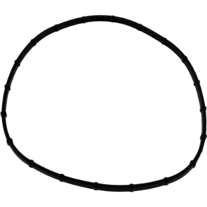 GSKT SUNSAVER LENS GSKT SUNSAVER LENS, Parts, Pentair, Pool Supplies