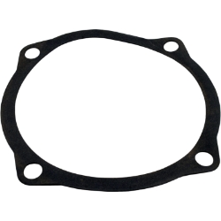 Gasket Volute-Bracket Ci Pump Gasket Volute-Bracket Ci Pump, Waterco, Pool Supplies