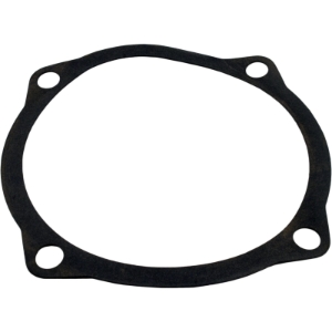 Gasket Volute-Bracket Ci Pump Gasket Volute-Bracket Ci Pump, Waterco, Pool Supplies