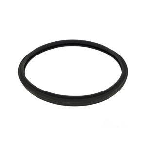 StarClear™ Cartridge Filter Head Gasket StarClear™ Cartridge Filter Head Gasket, CX250F