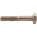 Hex Head Cap Screw .25-20" x 1.5" for EQ-Series Pool and Spa Pump - 350035