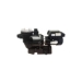 Infinium 1 Hp Single Speed Pump - 243100A