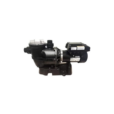 Infinium 1 Hp Single Speed Pump Infinium 1 HP Single Speed Pump, Waterco, Pool Supplies