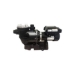 Infinium 2 Hp Single Speed Pump - 243200A