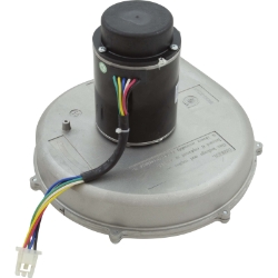 KIT COMBUSTION BLWR 250K LP KIT COMBUSTION BLWR 250K LP, Parts, Pentair, Pool Supplies