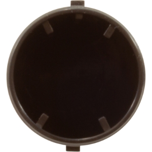 LATERAL LATERAL, Parts, Pentair, Pool Supplies