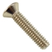 Light Niche Screw, Pentair, Amerlite, 1/4-20 x 1.25" - 98202700