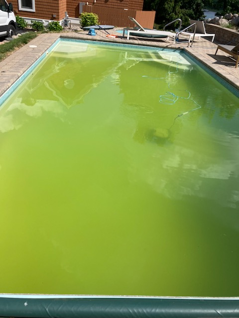 Maintenance Services to Clear clear cloudy pool, pool cleaning service, pool clarification service, green pool cleanup, pool water treatment service, pool maintenance wisconsin, pool service illinois