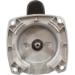 Motor, US Motor, 1.5hp, 2-Spd, 230v, 56YFr, SQFL, Full Rate, PE - ASB2983