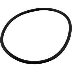 O-Ring For Aquamite Lid O-Ring For Aquamite Lid, Waterco, Pool Supplies