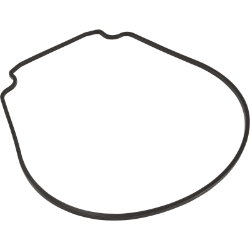 O-Ring For Hydrostar / Hydrostorm Plus Pump Body O-Ring For Hydrostar / Hydrostorm Plus Pump Body, Waterco, Pool Supplies