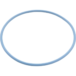 ORING 2-243 BLUE RPLCMNT ORING 2-243 BLUE RPLCMNT, Parts, Pentair, Pool Supplies