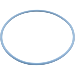 ORING 2-243 BLUE RPLCMNT ORING 2-243 BLUE RPLCMNT, Parts, Pentair, Pool Supplies