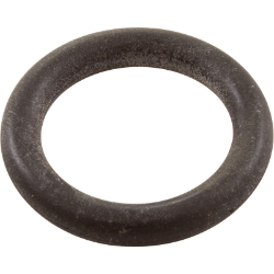 ORING 2-318 NEOPR 75SHOR ORING 2-318 NEOPR 75SHOR, Parts, Pentair, Pool Supplies
