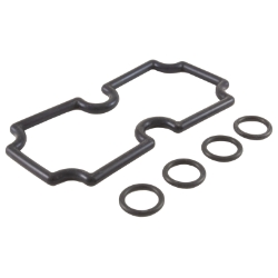 ORING KIT MT125 ORING KIT MT125, Parts, Pentair, Pool Supplies