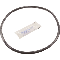 ORNG SVC KIT PRC ORNG SVC KIT PRC, Parts, Pentair, Pool Supplies
