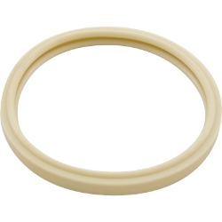 Pentair-American 79101600 AmerLite O-ring 