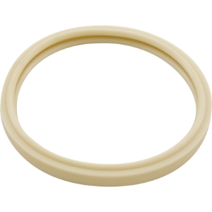 Pentair-American 79101600 AmerLite O-ring 